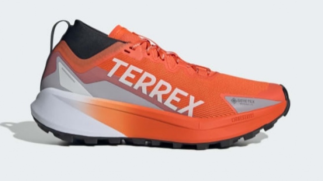 7 Sepatu Lari Tahan Air Selevel Nike Vomero 18 GTX, Kualitas Top