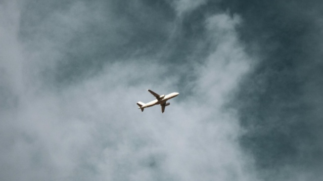 Perubahan Iklim Picu Turbulensi Pesawat, Ini Solusi Peneliti Terinspirasi dari Cara Terbang Burung