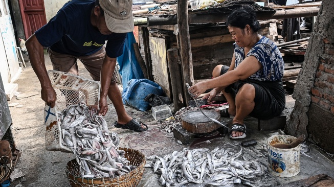 Pengrajin ikan asin menggarami ikan asin bilis di Kalibaru, Cilincing, Jakarta, Senin (30/3/2026). [ANTARA FOTO/Sulthony Hasanuddin/bar]
