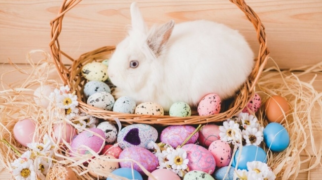 Kenapa Paskah Identik dengan Telur dan Kelinci? Begini Asal-Usulnya