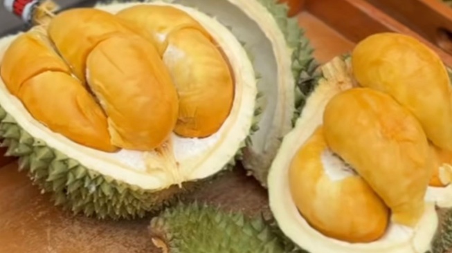 Cara Seru Nikmati Kebersamaan Usai Lebaran: Pilih Sampai Nikmati Daging Durian Super Tebal di PIK