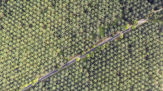 Konflik Timur Tengah Paksa Pemerintah Terapkan B50 di Juli Tahun Ini