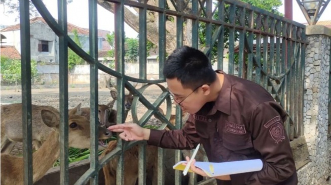 Bukan Kurang Makan, Ternyata Ini Biang Keladi Belasan Rusa di Pendopo Tulungagung Kurus