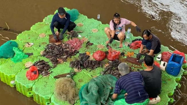 Siomay Sapu-Sapu: Antara Kreativitas Kuliner dan "Jebakan Batman" Kesehatan