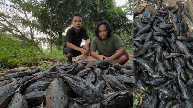 Suara dari Sungai Ciliwung: Ketika Warga Menggantikan Peran Negara