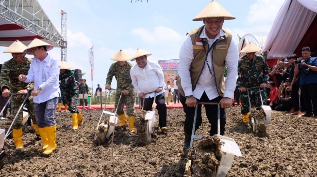Perkuat Produksi Jagung Nasional, BULOG Dorong Panen dan Tanam Serentak di Blora