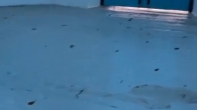 Tangkapan layar kondisi Panggung Sangga Buwana yang rusak. [TikTok]