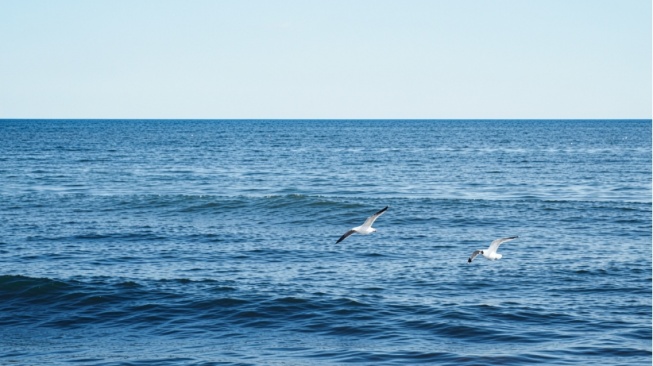 Lautan Serap Energi Berlebih, Jadi Ancaman Serius bagi Pangan Global: Kenapa?