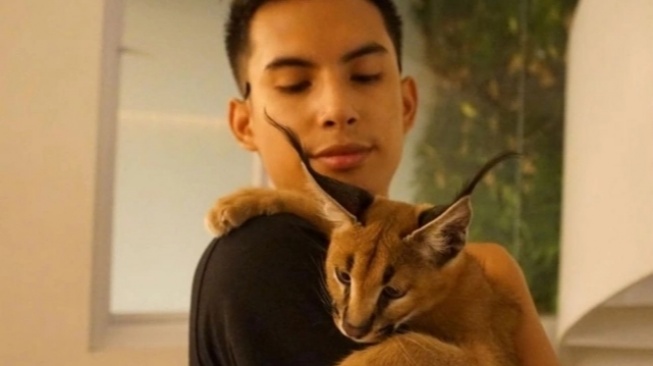 Niko Al Hakim Ungkit Penelantaran Kucing di 2024, Pihak yang Rescue Bela Rachel Vennya