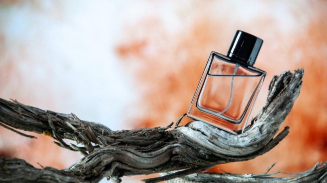 Wangi Hangat dan Memikat: Ini 5 Parfum Spicy Woody yang Harus Dicoba!