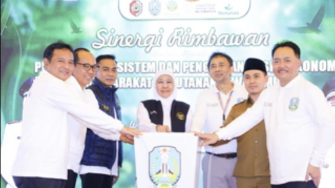 Gubernur Khofifah menilai capaian ini merupakan hasil sinergi kuat antara kelompok tani hutan, penyuluh kehutanan, serta dukungan kebijakan pemerintah daerah (Dok: Pemprov Jatim)