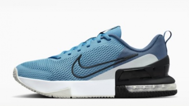 Nike Air Max Alpha Trainer 6