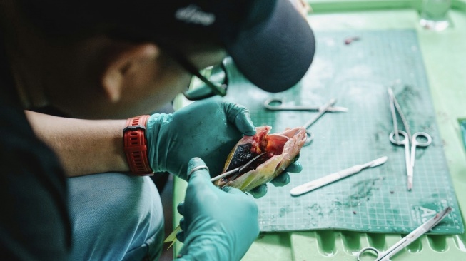 Observasi biota laut di perairan sekitar Pulau Obi