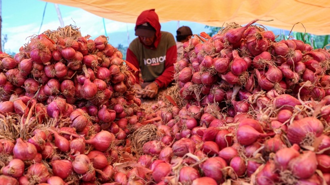 Harga Pangan Bergerak Liar, Bawang Naik Tajam, Cabai Ambruk