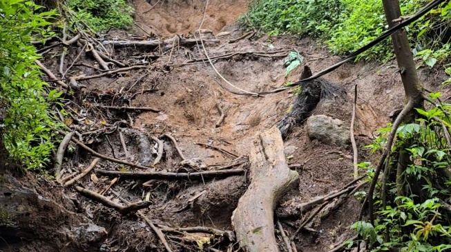 Tanjakan Akar di Gunung Malabar. [Doc Pribadi/Lintang Siltya Utami]