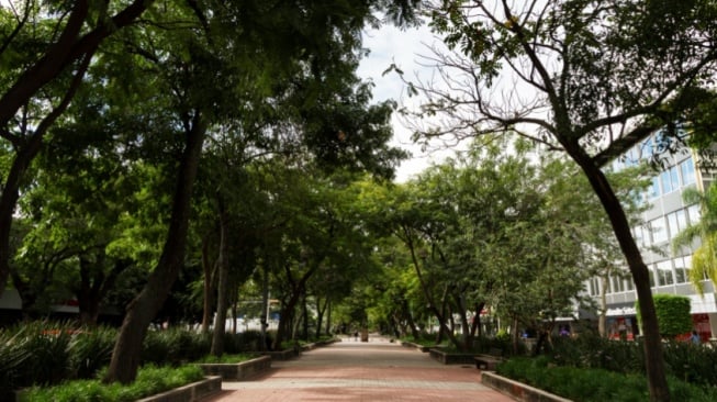 Studi: Perluasan Ruang Hijau Kota Hanya Redam Sebagian Kecil Kenaikan Suhu, Bagaimana Solusinya