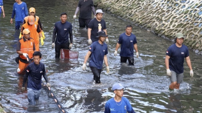 Pemkot Jakpus Bersihkan Ikan Sapu-sapu Perusak Turap di Kali Cideng