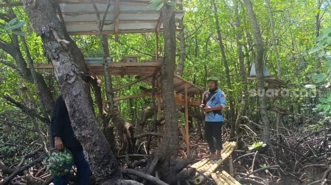 Ketua Kelompok Budidaya Madu “Sulang Trigona” di Lombok Timur, Aliman. (Suara.com/Dwi Bowo Raharjo)