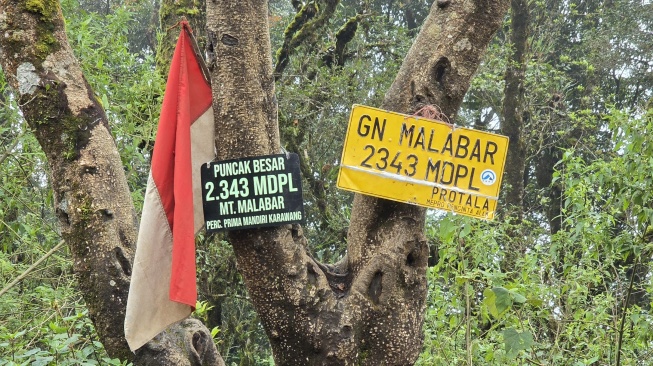 Puncak Besar Malabar. [Doc Pribadi/Lintang Siltya Utami]