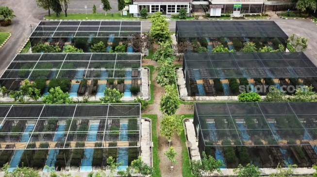 Adaro Indonesia Terima Penghargaan PROPER Emas Kedelapan