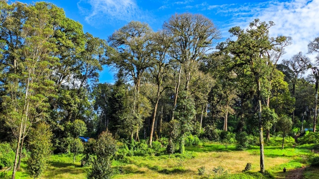 Pemandangan di Gunung Malabar. [Doc Pribadi/Lintang Siltya Utami]