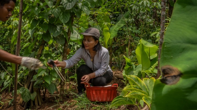 Riset Global Soroti Inovasi Pertanian AI dari Indonesia, Disebut Bisa Pulihkan Tanah Rusak