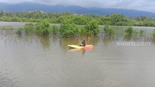Jaga Kelestarian Alam, Ekowisata Mangrove di Lombok Timur Ini 'Mengalah' Demi Napas Lingkungan