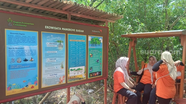 Ekowisata Mangrove di Lombok Timur, NTB. (Suara.com/Dwi Bowo Raharjo)