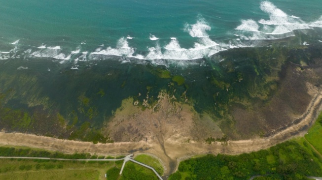 Dinilai Lebih Cepat dan Presisi, Bagaimana Teknologi AI BRIN Bantu Petakan Pesisir Pantura?