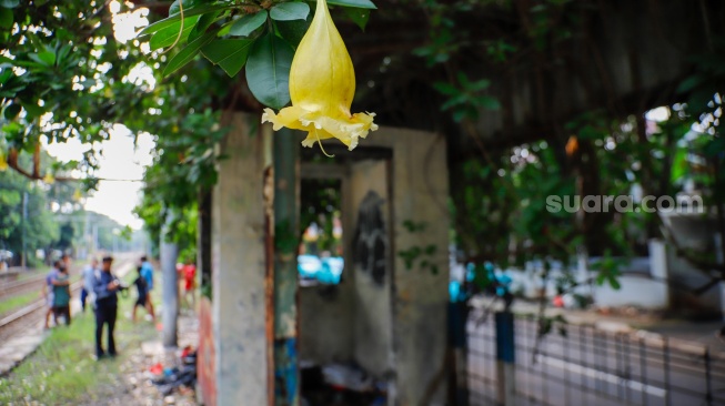 Kondisi Stasiun Mampang di Jakarta, Rabu (15/4/2026). [Suara.com/Alfian Winanto]