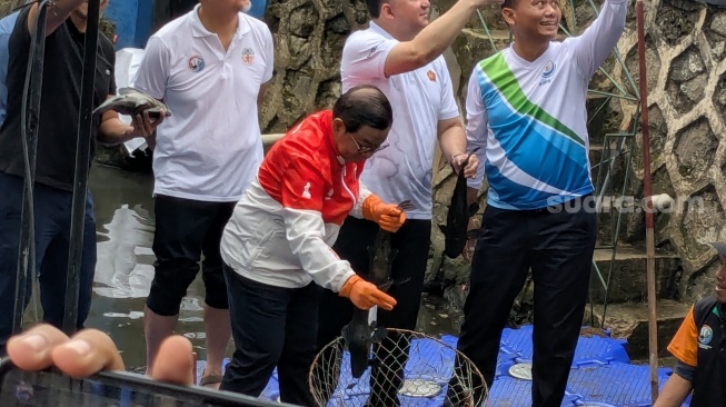 Pramono Turun ke Kali, Ikut Angkat Ikan Sapu-Sapu yang Kuasai Perairan Jakarta
