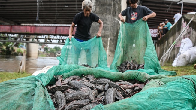 Warga mengangkut ikan sapu-sapu saat operasi pembersihan di Sungai Ciliwung, Cililitan, Jakarta, Jumat (17/4/2026). ANTARA FOTO/Sulthony Hasanuddin/tom]