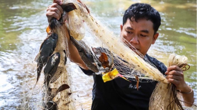 Ini Bahaya Tersembunyi Ikan Sapu-Sapu yang Mengancam Ekosistem Jakarta