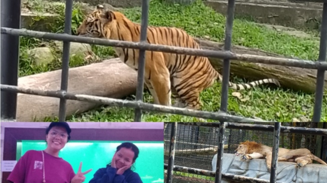 Sehari di Central Park Zoo, Momen Lucu Tak Terduga yang Memorable