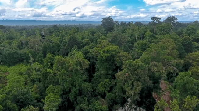 Di Tengah Tekanan Industri, Bisakah Gerakan Lintas Iman Jadi Alternatif Jaga Hutan Indonesia?
