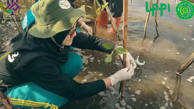 Proyek Fikih Hijau - penanaman mangrove di Pantai Baros, Bantul (Youtube Fara Yudanta)