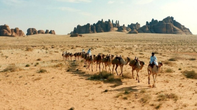 Jalur Haji Syam: Rute Legendaris dari Damaskus ke Madinah yang Sarat Makna Spiritual