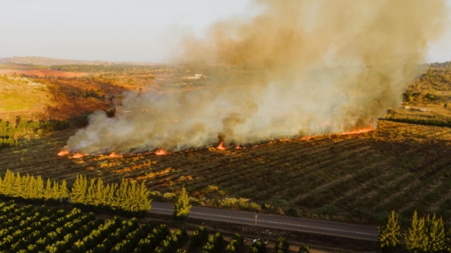 Hadapi El Nino 2026, Pemerintah Ungkap Strategi Cegah Karhutla