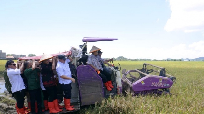 Panen Padi Biosalin Tembus Rp1,23 Miliar di Tengah Cuaca Ekstrem