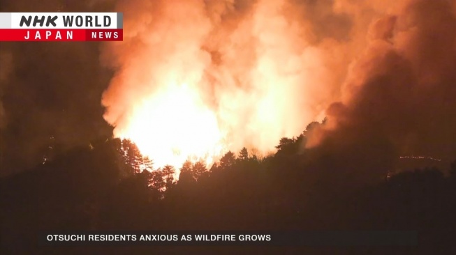 Kebakaran Hutan di Iwate Meluas, 3.000 Warga Otsuchi Dievakuasi