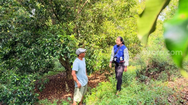 Kisah Mispa, mantri BRI yang menembus pelosok demi tingkatkan literasi keuangan [Suara.com/HO-BRI]