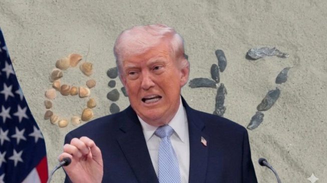 Foto Kerang Berkode 86 47 Bongkar Rencana Pembunuhan Donald Trump