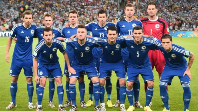 Profil Timnas Bosnia dan Herzegovina: Ambisi Besar 'Si Naga' Mengguncang Dominasi Global