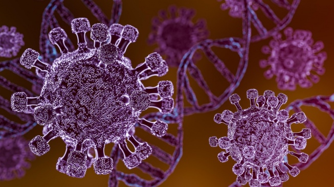 Apakah Wabah Hantavirus Ada di Indonesia? Viral Tewaskan 3 Penumpang Kapal Pesiar