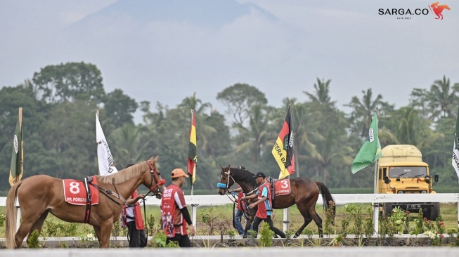 Total 147 kuda dari 12 daerah di Indonesia akan bertarung dalam IHR Piala Mangkunegaran & Triple Crown Serie 2 2026, memperebutkan total hadiah Rp 600 juta.(Dok: sarga.co)