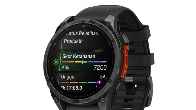 Garmin Fenix 8.