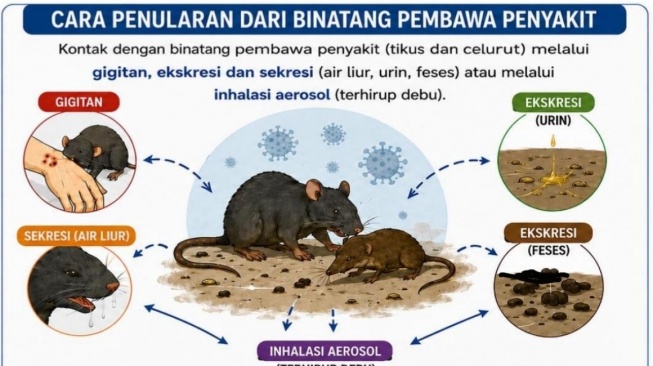 Edukasi tentang Hantavirus. (Kemenkes RI)