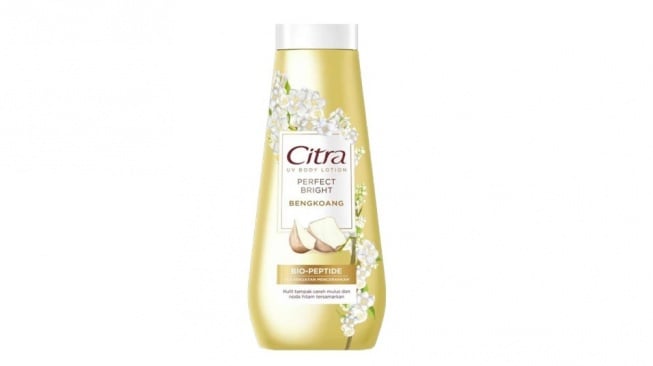 Citra UV Body Lotion Perfect Bright Bengkoang