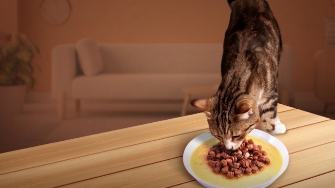 Panik Anabul Sering Pilih-Pilih Pet Food? Ternyata Ini 5 Alasannya