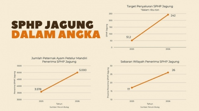 Data SPHP Jagung secara nasional (Olah data Suara.com, sumber Perum Bulog)